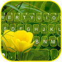 Summer Tulips Tastaturhintergr Icon