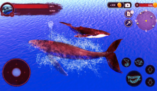 The Humpback Whales screenshot 10