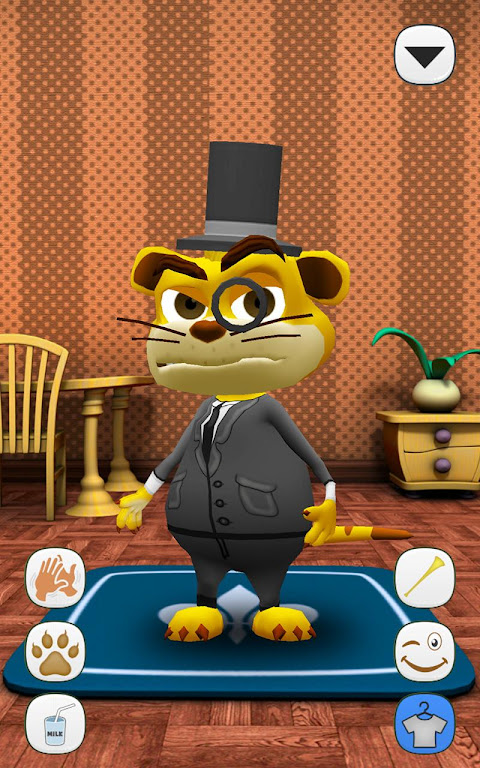 Brincando com o gatinho tom, talking tom joguinho do gato falante, gato  tom, gatinho falante 