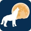 Lunar Calendar Icon