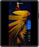 Trend Live screenshot 4