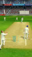 Cricket Megastar screenshot 2