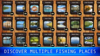 Рыбный дождь - рыбалка симулятор screenshot 0