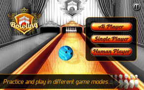 Bowling 3D Game screenshot 1