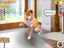 Fruwee Pets Real Dog Simulator screenshot 11