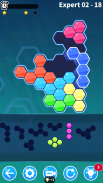 Block Hexa Puzzle screenshot 6