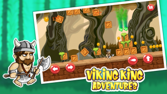 Viking King Adventures screenshot 1