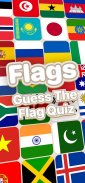 Flag Quest: Guess The Flags screenshot 9