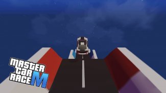 Master Car Race screenshot 0