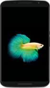 Betta Fish Wallpaper screenshot 3