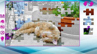 Große Puzzle mit Katzen screenshot 0