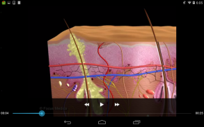 Dermatology - Medical Dict. screenshot 7