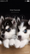 Siberian Husky Lock Screen screenshot 6