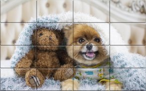 Tile Puzzle Pomeranian Dogs screenshot 0