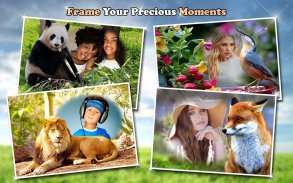 🐅 Animal Picture Frames 🐈 Nature Photo Editor screenshot 7