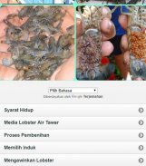 freshwater crayfish cultivatio screenshot 7