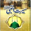 Seerat un nabi urdu