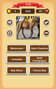 Horse Coat Colors Quiz screenshot 7