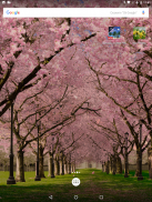 Spring Cherry Blossom Live Wallpaper FREE screenshot 6