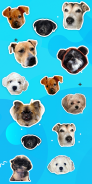 Pet Stickers & Emojis: PawMoji screenshot 2