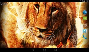Fire Lion Live Wallpaper screenshot 4