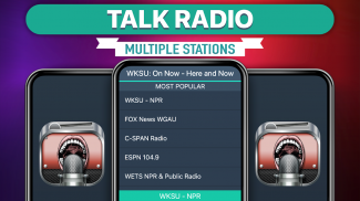 Talk Radio Favorites screenshot 1