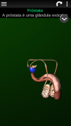 Órgãos Internos em 3D (Anatomia) screenshot 6