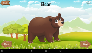 Juniors Kiddo - Phonics and Alphabet Teaching App screenshot 12