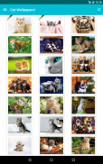 Cat Wallpapers! screenshot 5