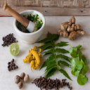 Ayurvedic Plants and Herbs