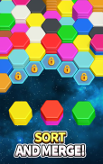 Hexa Master 3D - Color Sort screenshot 14