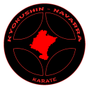 Kyokushin Navarra Icon