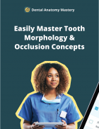 Dental Anatomy Mastery screenshot 3