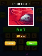 Guess Missing Words - Brain training game app-ATTU screenshot 1