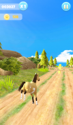 Horse Run screenshot 13