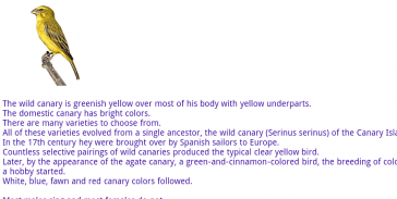 Canaries Info screenshot 4