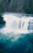 Wild Waterfalls Live Wallpaper screenshot 4