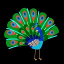 Peacock Bird Fact Icon