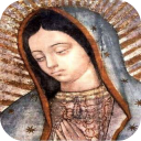 Our Lady of Guadalupe