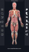 Human Anatomy screenshot 13