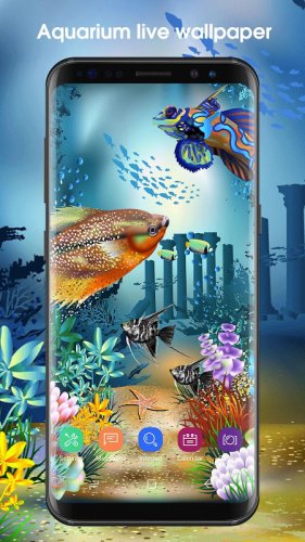 Koi Fish Live Wallpaper 2 2 0 2560 Download Android Apk Aptoide