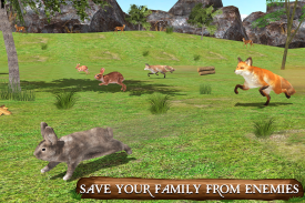 Simulador de coelho final screenshot 8