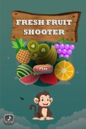 Fresh Fruit Bubble Shooter screenshot 4