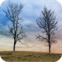 Twin Trees - Live Wallpaper