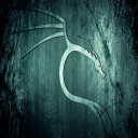 Kali Linux Manuales Icon