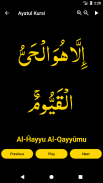 Ayatul Kursi screenshot 9