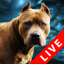 Fighting Dogs Live Wallpaper Icon