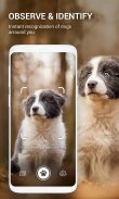 Pengidentifikasi Ras Anjing screenshot 12