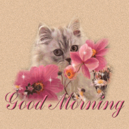 Good morning images GIF screenshot 1