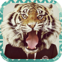 Animal Face - Baixar APK para Android | Aptoide